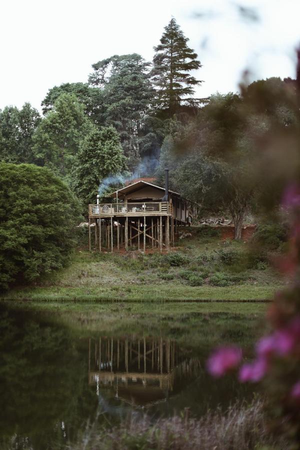 Africamps Magoebaskloof Villa Buitenkant foto