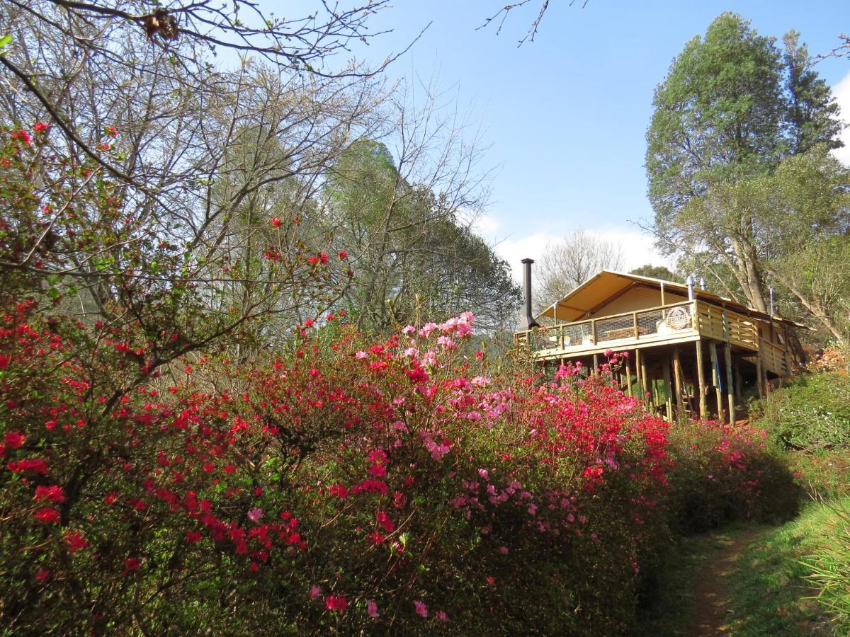 Africamps Magoebaskloof Villa Buitenkant foto