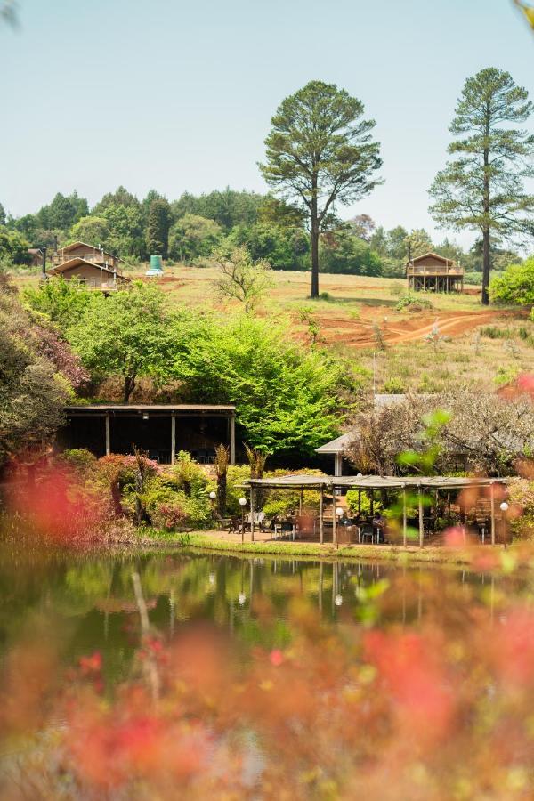 Africamps Magoebaskloof Villa Buitenkant foto