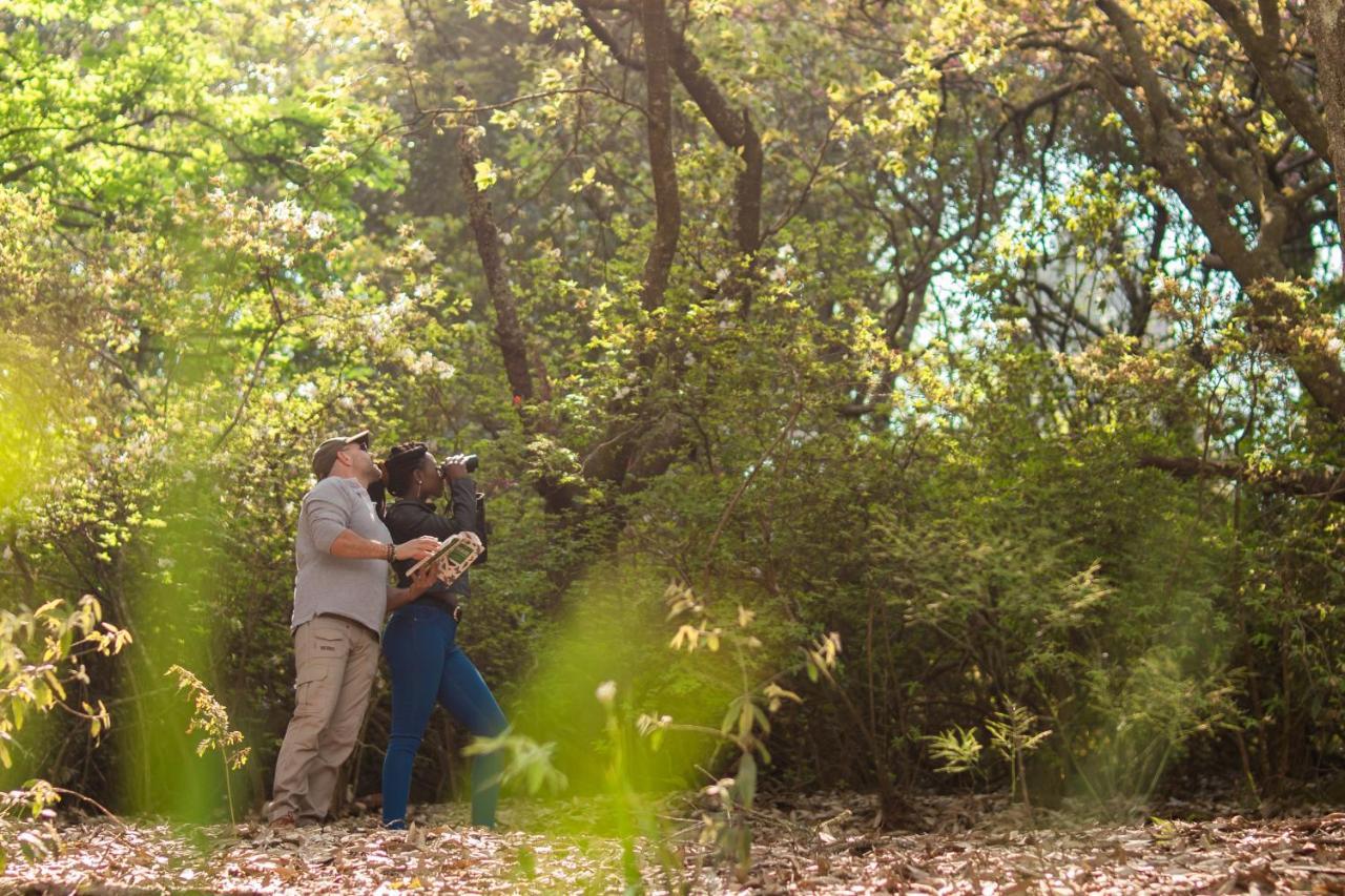 Africamps Magoebaskloof Villa Buitenkant foto