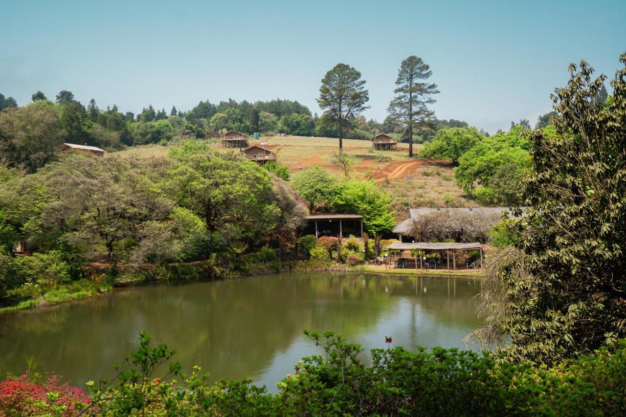Africamps Magoebaskloof Villa Buitenkant foto